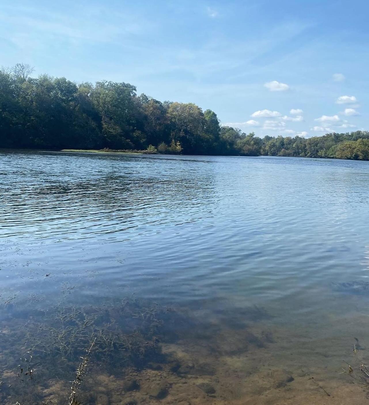 Luxury Riverfront Tiny House- Amazing Views- #111 Strawberry Plains Esterno foto